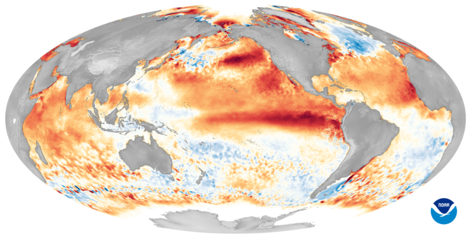 Satellite-style visualization showing Pacific Ocean warming associated with an El Niño climate pattern