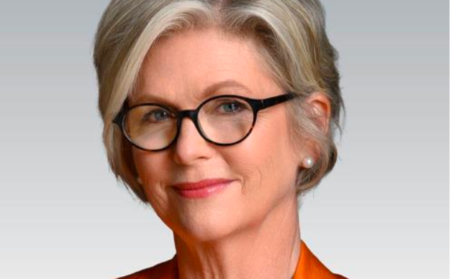 Australian independent MP Helen Haines speaking at Parliament House before the incident in Wangaratta.